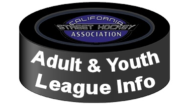 Roller Hockey Adult and Youth League